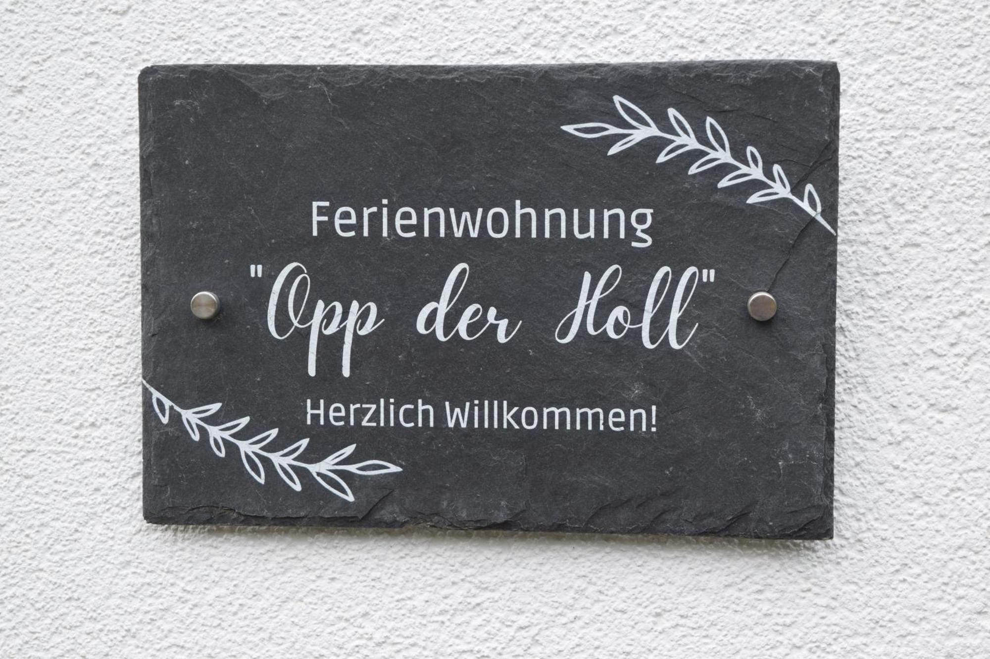 Ferienwohnung In Der Vulkaneifel "Opp Der Holl" Brockscheid Exterior photo